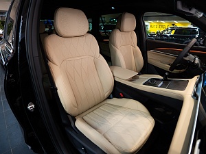 Monjaro 2024 Full Moon (Xingyue L) 2.0 AT