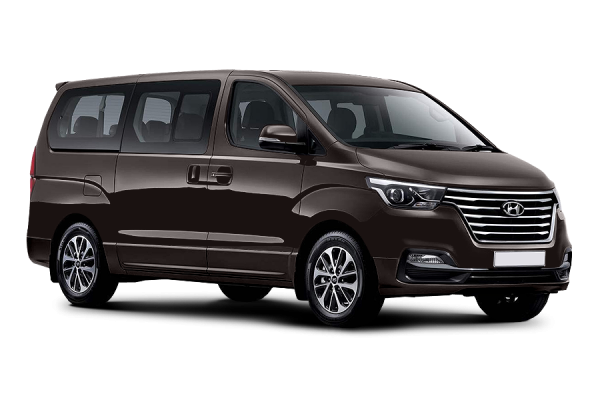 Hyundai H1 taiga brown