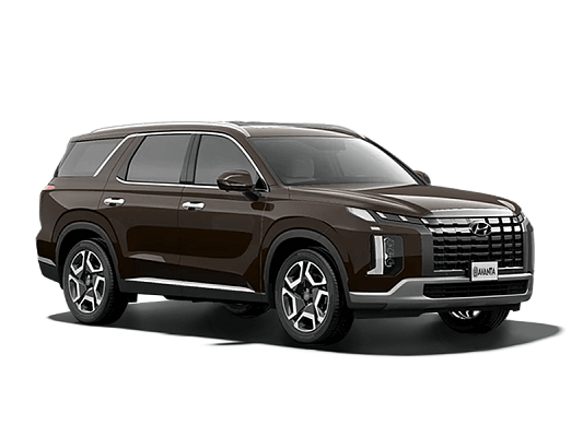 Hyundai Palisade Lifestyle 2.2 AT Brown