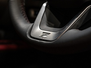 Lexus RX F Sport 2.4 AT